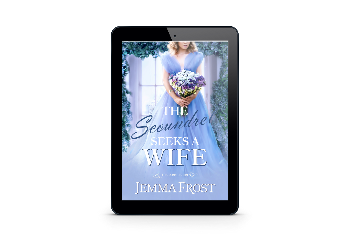 The Scoundrel Seeks a Wife E-Book